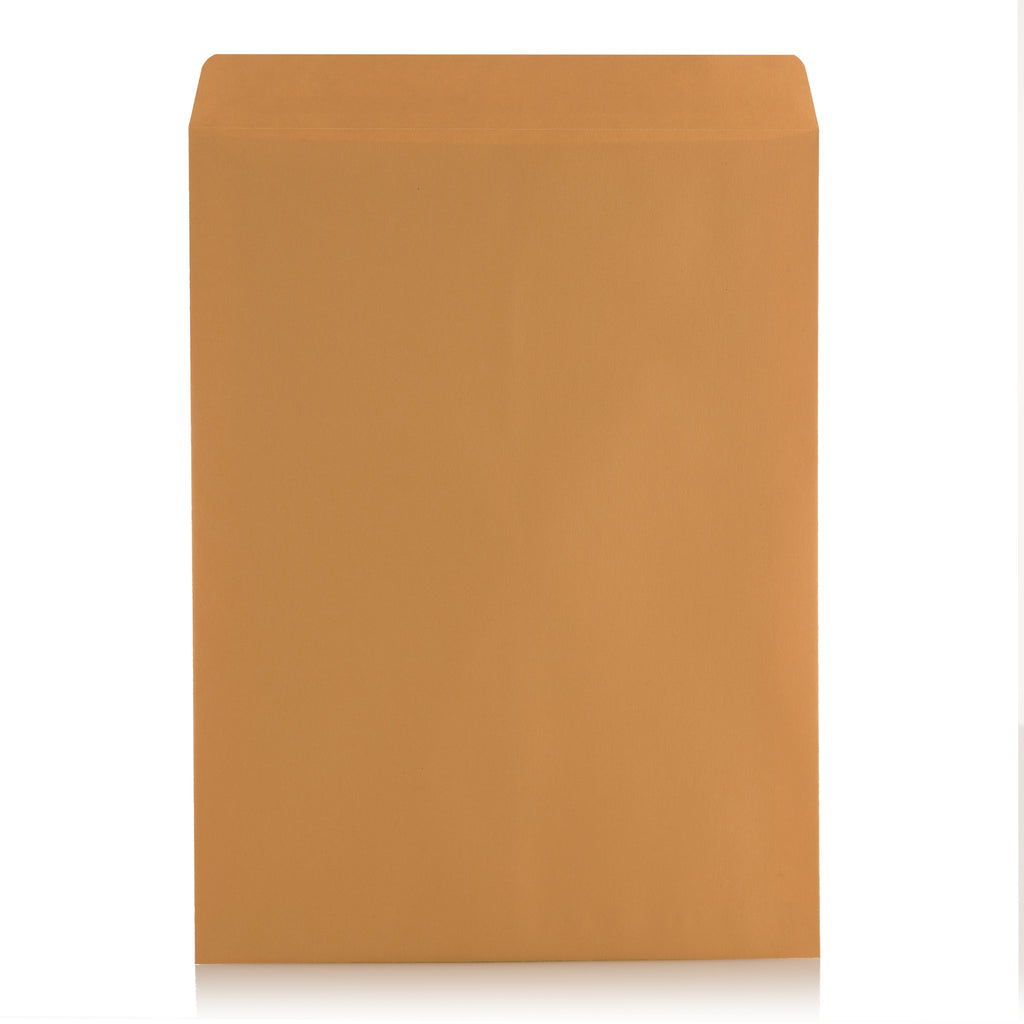 9X12 Envelopes - Self-Seal - Kraft - 100 Count — Aimoh