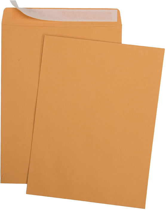 100 10 x 13 Self-Seal Brown Kraft Catalog Envelopes - 28lb - 100 Count, Ultra Strong Quick-Seal, 10 x 13 inch (39300) - Aimoh